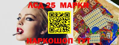 spice Кимры