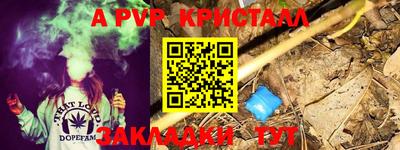spice Кимры