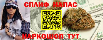 скорость Кингисепп