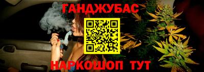 скорость Кингисепп