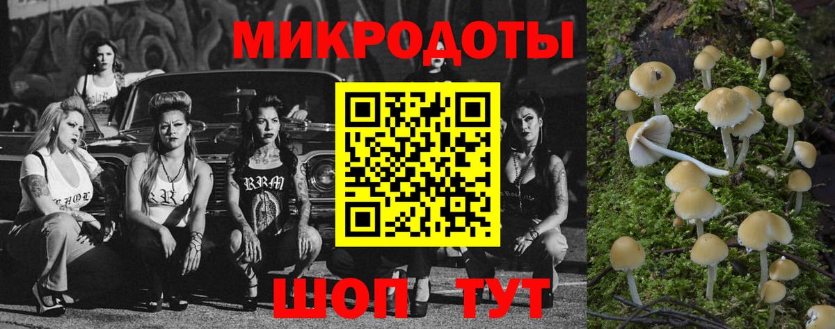 Псилоцибиновые грибы мицелий Кириши