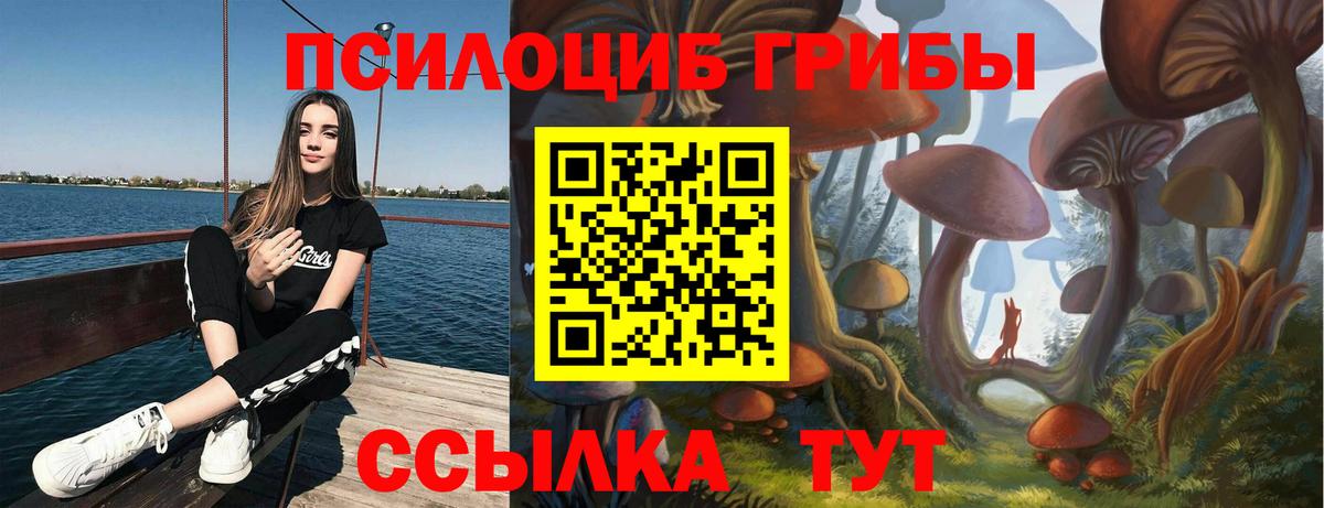 Кириши  Галлюциногенные грибы Psilocybe  Вход с VPN 